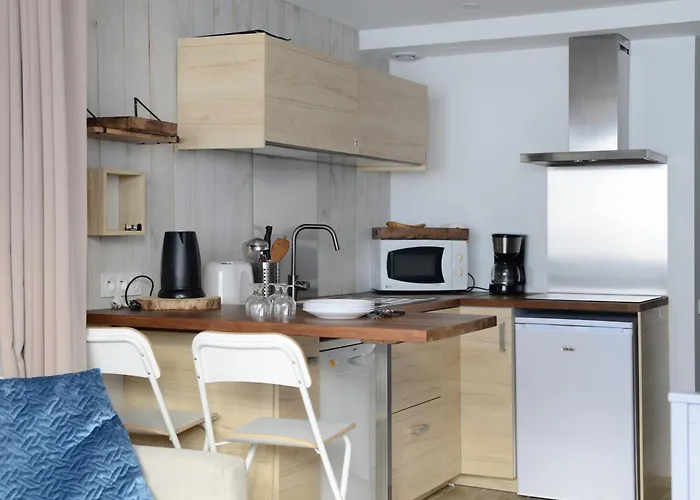 Apartament Confort Renove, Balcon Sud, Skis Aux Pieds - Fr-1-181-2556